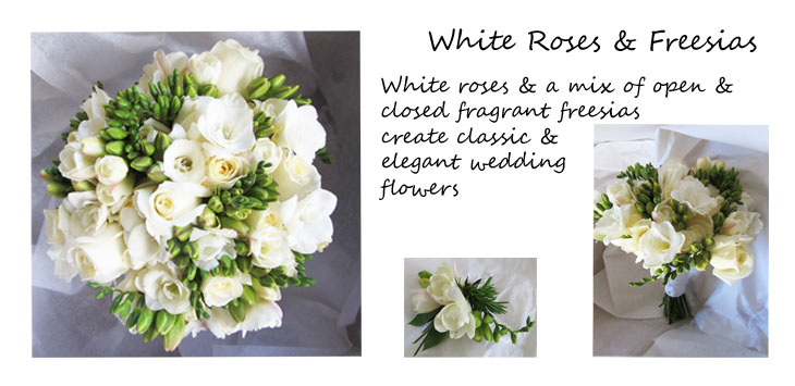 white-rose-freesia-banner.jpg