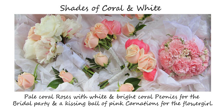 coral-white-banner.jpg